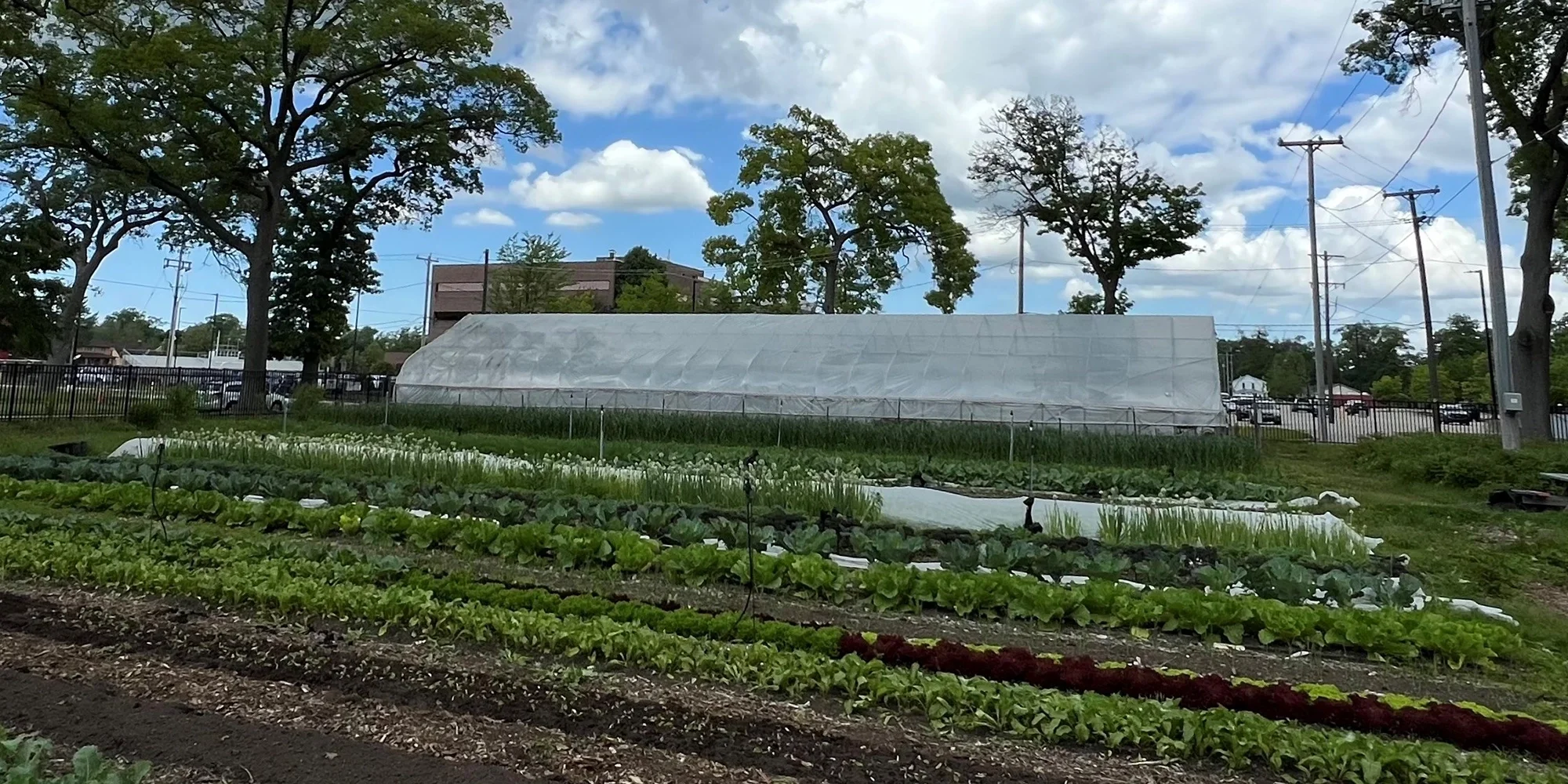 McLaughlin Grows Urban Farm at Trinity Health Muskegon