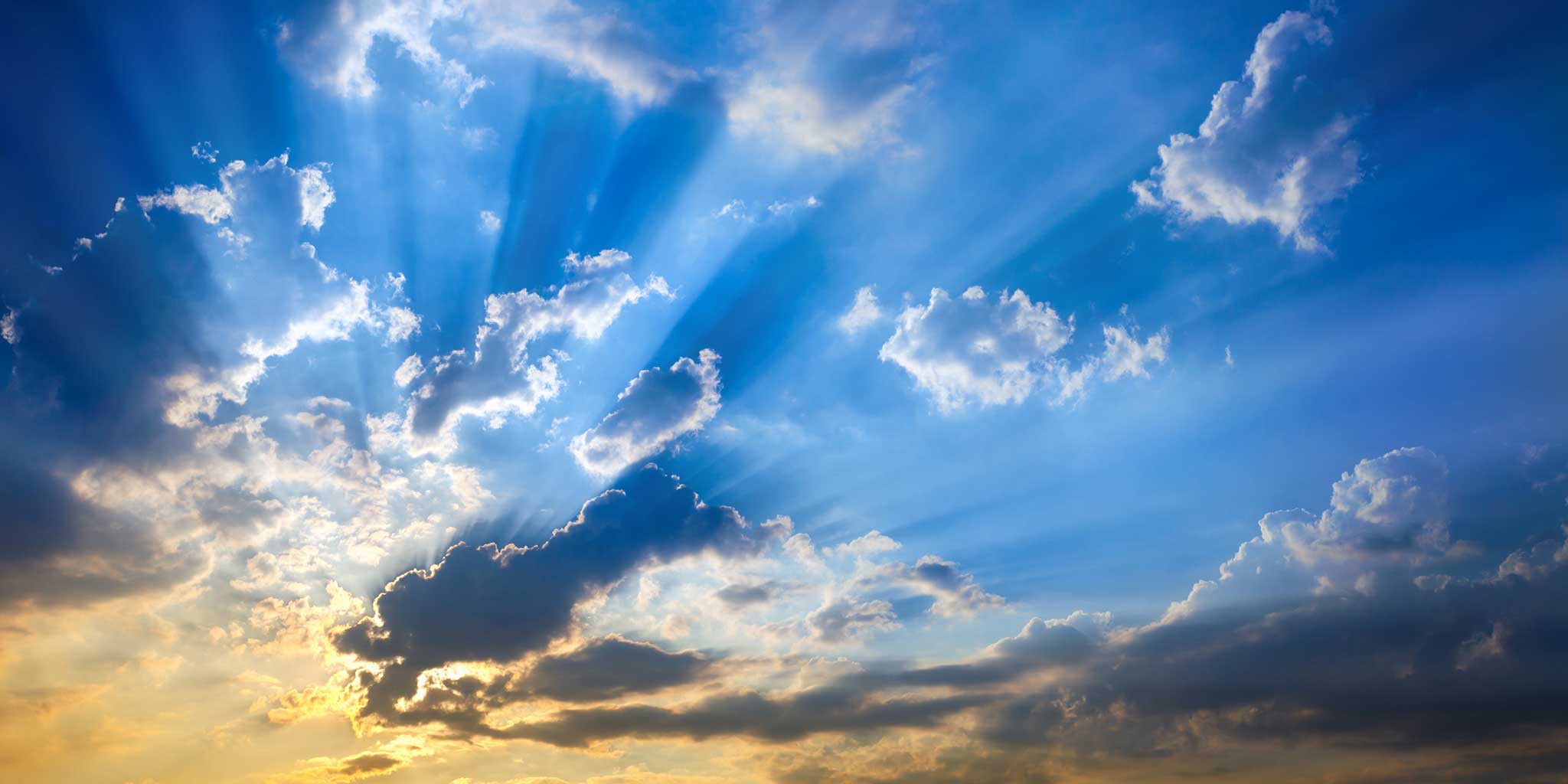 Support Your Passion Banner