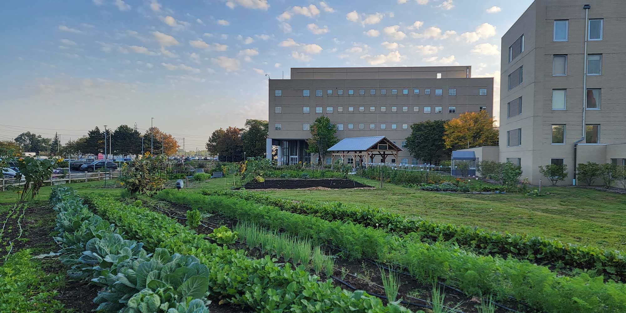 An exterior shot of The Farm around dusk. The vegetation is a lush green.