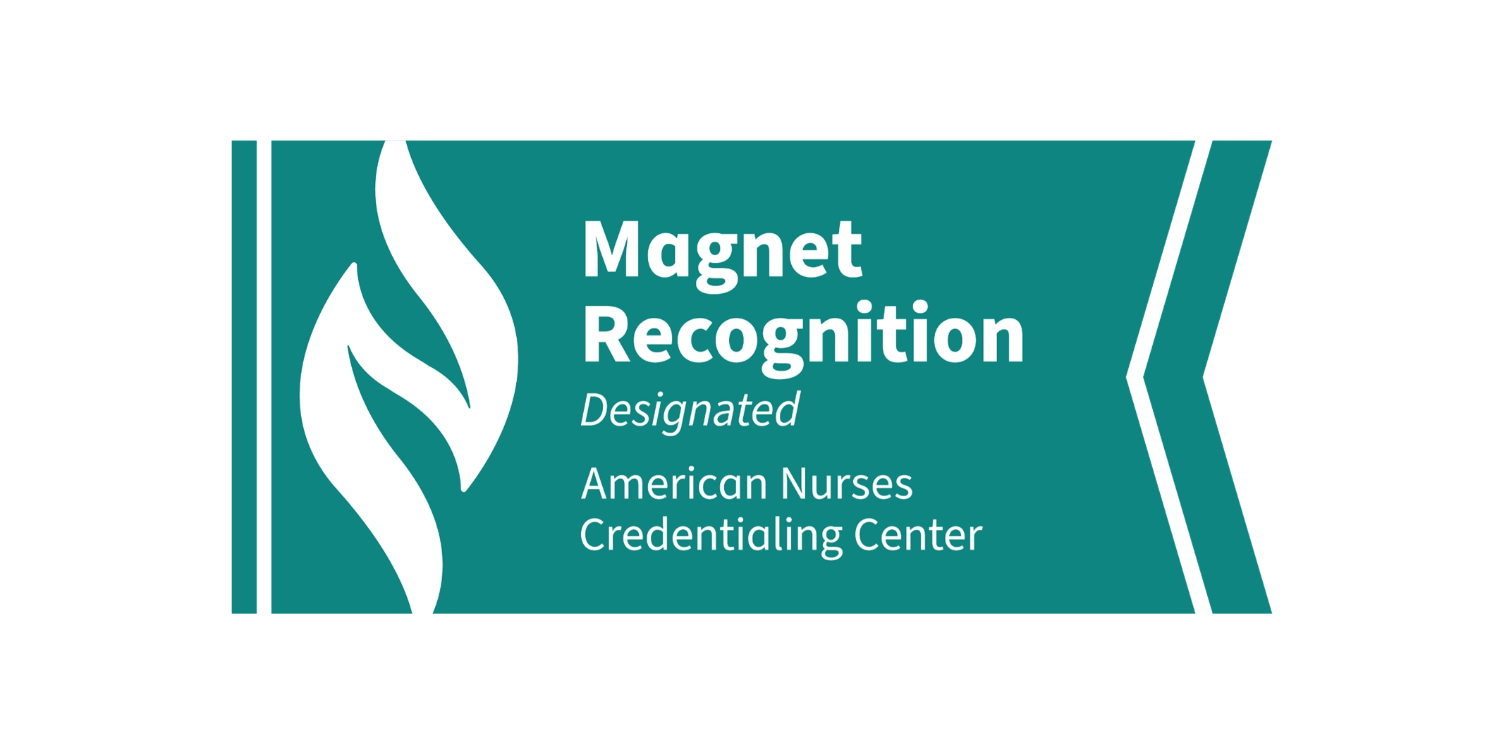 Magnet Recognition logo
