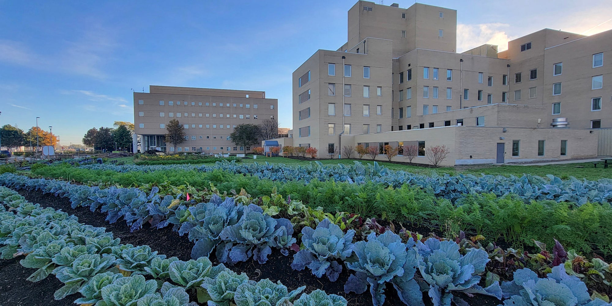 The Farm at Trinity Health - Oakland