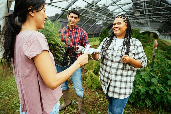 Greenhouse employees sell a basket full of produce to a customer